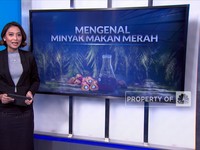 Yuk Mengenal Minyak Makan Merah