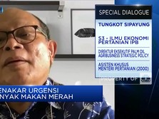 Minyak Makan Merah Lebih Sehat Dari Yang Curah, Kok Bisa?