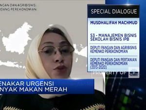 Sederet Alasan Pemerintah Kembangkan Minyak Makan Merah
