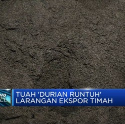 Tuah 'Durian Runtuh'  Larangan Ekspor Timah