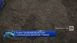 Tuah 'Durian Runtuh'  Larangan Ekspor Timah