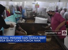 Resesi, Perang & Harga BBM Bisa Bikin Cukai Rokok Naik