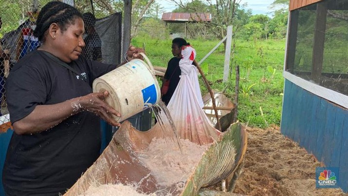 Kampung Klayas, Distrik Seget Kabupaten Sorong, Papua Barat. (CNBC Indonesia/Chandra Gian Asmara) Kampung Klayas, Distrik Seget Kabupaten Sorong, Papua Barat. (CNBC Indonesia/Chandra Gian Asmara)