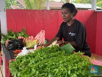Kabar Baik! Covid Reda, Angka Kemiskinan di Desa Turun