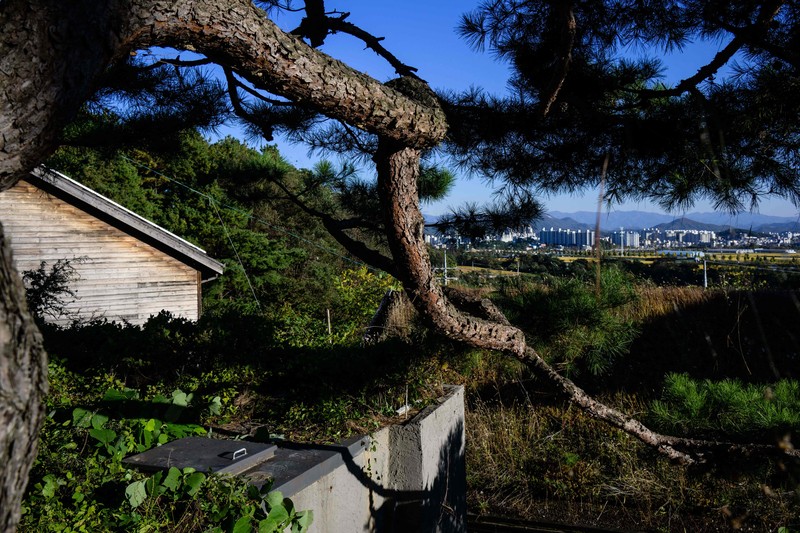 TOPSHOT - This picture taken on October 17, 2022 shows architecture professor Lee Tae-goo opening a hatch door as he prepares to climb out of his bunker, which is buried one metre (three feet) deep and can protect from the radiation fallout of a nuclear blast on his property in Jecheon, some 74 miles (120 km) southeast of the capital Seoul. - If North Korea unleashes a nuclear attack on the South, architecture professor Lee Tae-goo plans to retreat to his purpose-built bunker -- which was funded by a government grant -- and stay underground for at least two weeks to avoid radiation poisoning. - To go with 'SKOREA-NKOREA-NUCLEAR-BUNKER,FOCUS' by Cat Barton and Kang Jin-kyu (Photo by Anthony WALLACE / AFP) / To go with 'SKOREA-NKOREA-NUCLEAR-BUNKER,FOCUS' by Cat Barton and Kang Jin-kyu (Photo by ANTHONY WALLACE/AFP via Getty Images)