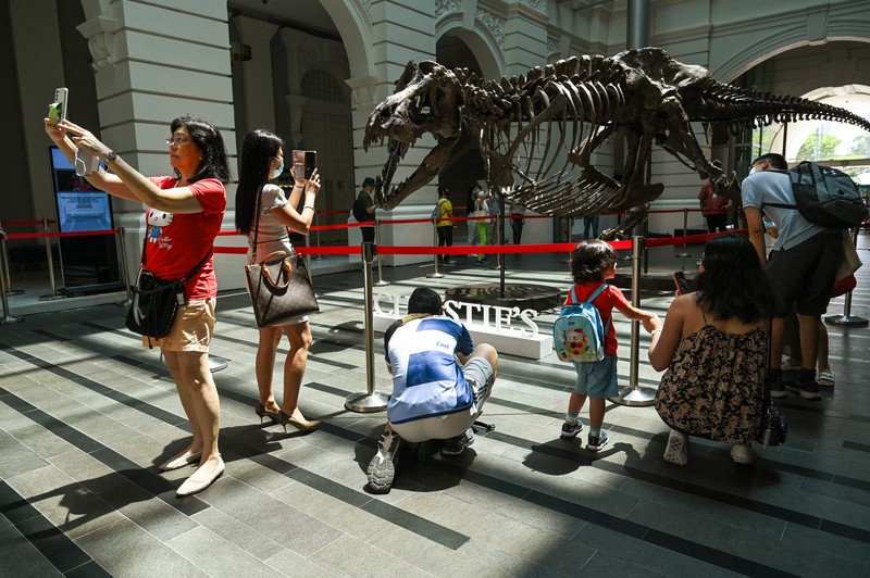 Kerangka T-Rex bernama Shen dipamerkan di Victoria Theatre & Concert Hall sebelum dilelang. Harganya US$ 15 juta-US$ 25 juta atau Rp 232.5 miliar- Rp 387,5 miliar. (Photo by ROSLAN RAHMAN/AFP via Getty Images)