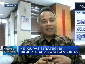 BI Ungkap Sederet Penyebab Pelemahan Rupiah, Apa Saja?