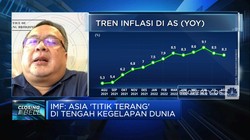 Ekonomi Asia Pasifik Masih Aman, RI Gimana?