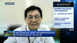 Eks Bos Batan Ungkap Kesiapan RI Bangun PLTN, Sejauh Mana?