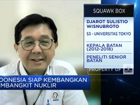 Eks Bos Batan Ungkap Kesiapan RI Bangun PLTN, Sejauh Mana?