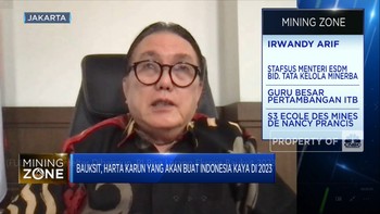 Jika 8 Smelter Dibangun, RI Bisa Larang Ekspor Bauksit 2023