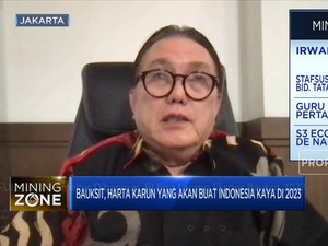 Jika 8 Smelter Dibangun, RI Bisa Larang Ekspor Bauksit 2023