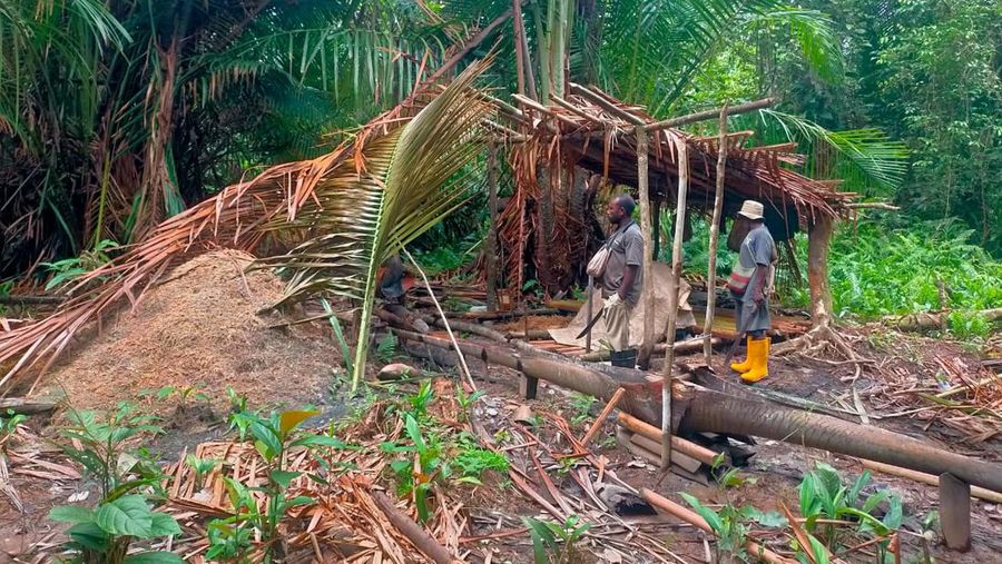 Kegiatan masyarakat Desa Klayas sebelumnya mencari sagu di hutan dan mengolah dengan air kubangan. (Dok: Pertamina Kilang Internasional)