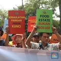Hmm...Ternyata Begini 'Wajah Asli' Pertanian RI Selama Ini