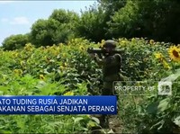 NATO Desak Putin Restui Ekspor Gandum Ukraina