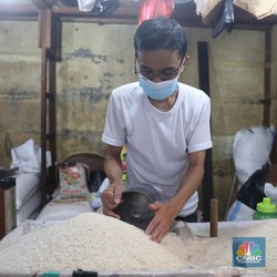 RI Terancam 'Kiamat' Beras, Menteri Jokowi Lakukan Ini