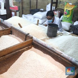 Siap-siap, RI Bakal Kebanjiran Beras Impor, Ini Sebabnya