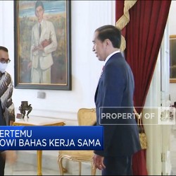 Bos Boeing Bertemu Presiden Jokowi Bahas Kerja Sama