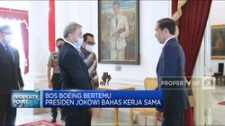 Bos Boeing Bertemu Presiden Jokowi Bahas Kerja Sama