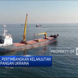 Dunia Bisa Bebas Dari Krisis Pangan, Ini Syarat Dari Putin