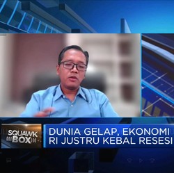Ekonomi RI Kebal Resesi Kala Dunia Gelap, BKF Ungkap Sebabnya