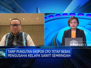 Tarif Pungutan Ekspor CPO Tetap Bebas, Pengusaha Semringah