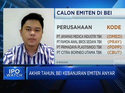 11 Calon Emiten Antre IPO, Mana Yang Prospek Dilirik?