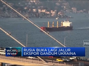 Akhirnya, Rusia Buka Lagi Jalur Ekspor Gandum Ukraina