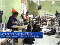 Gelombang PHK, Sri Mulyani Turun Tangan