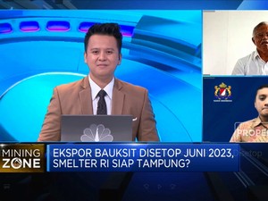 Ekspor Bauksit Disetop di 2023, Smelter RI Siap Tampung?