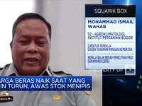 Kementan: Kenaikan Harga Beras Masih Wajar & Pasokan Aman