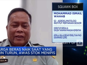 Kementan: Kenaikan Harga Beras Masih Wajar & Pasokan Aman