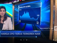 Market Focus: IHSG Sukses Ditutup Hijau & Rupiah Makin Lemah