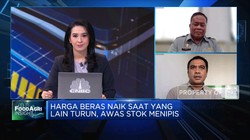 Meski Harga Beras Naik, Kementan Pastikan Stok Aman