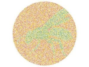 10 Tes Buta Warna Huruf dan Hewan, Seberapa Cepat Kamu Bisa Temukan Semuanya?