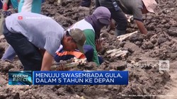 Menuju Swasembada Gula, Dalam 5 Tahun Ke Depan