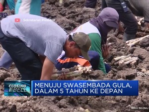 Menuju Swasembada Gula, Dalam 5 Tahun Ke Depan