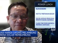 Dolar Menguat Bikin Harga Daging Naik, Importir Bisa Rugi