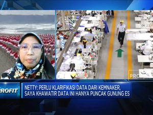 Industri Padat Karya Hadapi Tantangan Berat, PHK Meluas
