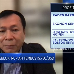 Soal Pelemahan Rupiah, Ekonom Senior: Jangan Terlalu Khawatir