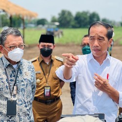 Jokowi & Jurus 'Sakti Mandraguna' Jadikan RI Swasembada Gula