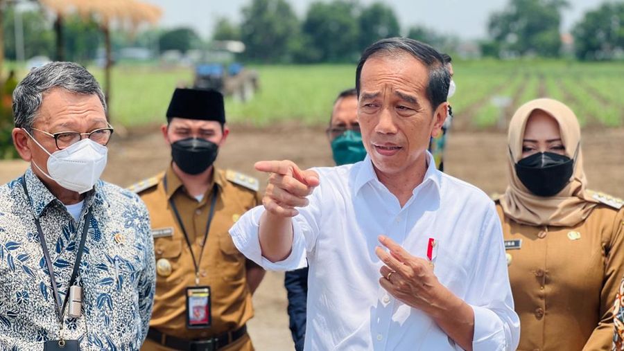 Tinjau Penanaman Tebu di Mojokerto, Presiden: Varietas Baru Tunjukkan Hasil Luar Biasa. (Dok. Laily Rachev - Biro Pers Sekretariat Presiden)