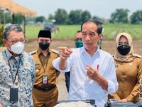 Jokowi & Jurus 'Sakti Mandraguna' Jadikan RI Swasembada Gula