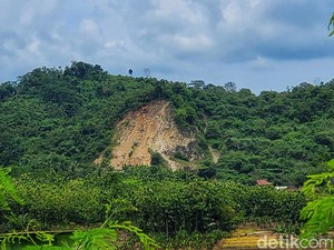 Macan Tutul yang Kabur dari Lembang Itu Hilang di Kaki Tangkuban Parahu
