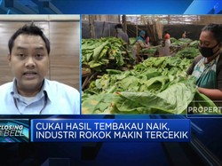 Cukai Naik 10%, Profit Emiten Rokok Terancam?