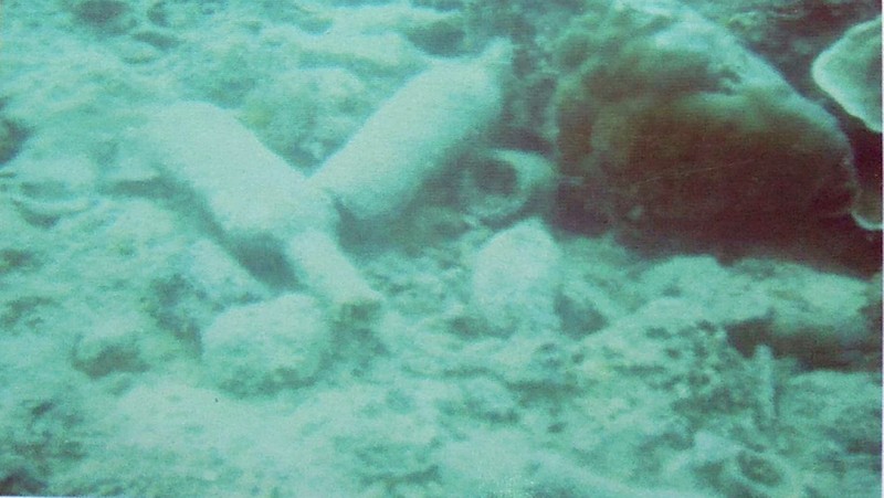 Harta karun dibawah laut di Provinsi Kepulauan Riau. Balai Pelestarian Cagar Budaya Provinsi Sumatra Barat, Riau, Dan Kepulauan Riau Tahun 2015 (Tangkapan Layar kemdikbud.go.id)