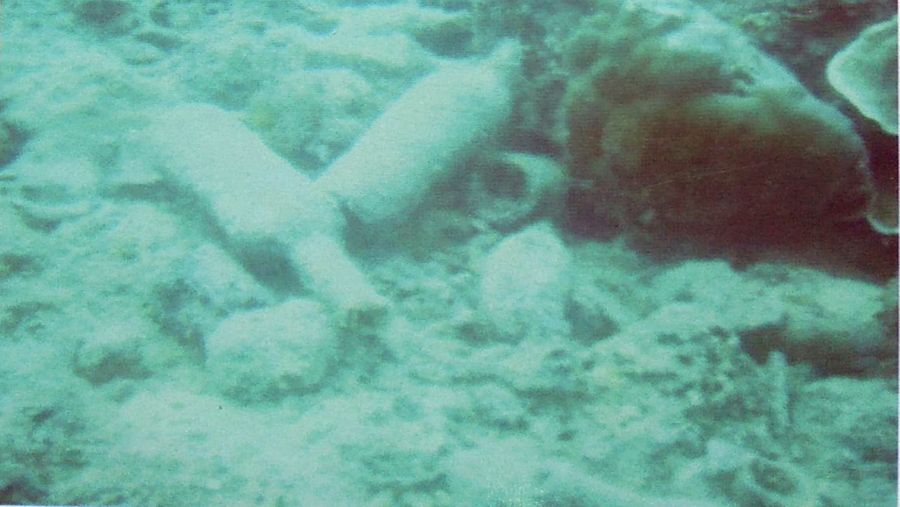 Harta karun dibawah laut di Provinsi Kepulauan Riau. Balai Pelestarian Cagar Budaya Provinsi Sumatra Barat, Riau, Dan Kepulauan Riau Tahun 2015 (Tangkapan Layar kemdikbud.go.id)