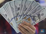 Dolar Wajib Parkir di RI, Ini Reaksi Pengusaha Tambang