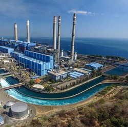 PLN Dorong Ekonomi Hijau Lewat Biomassa Kerakyatan