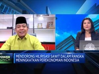 SDM Hingga Teknologi, Kendala Hilirisasi Sawit RI
